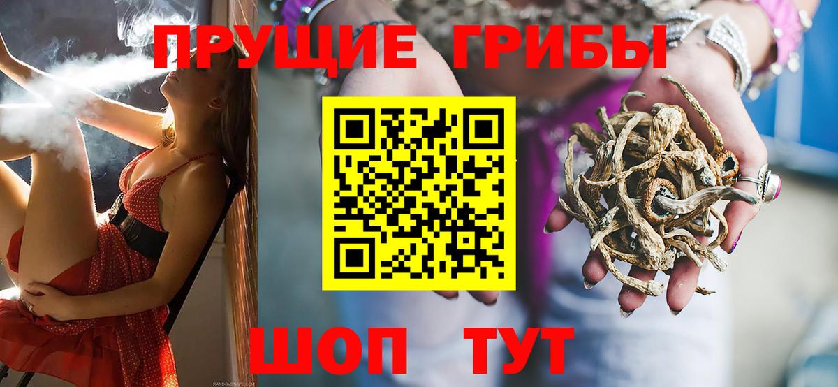 Галлюциногенные грибы Cubensis  Вход с VPN  цены   Отрадное 